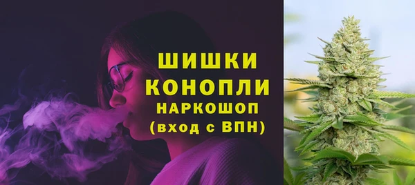 спиды Магас