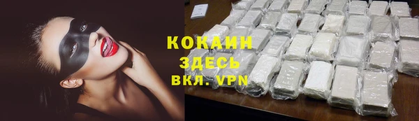 спиды Магас