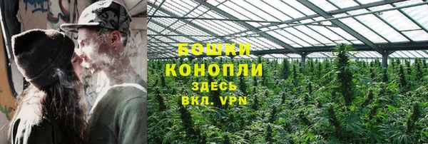 спиды Магас