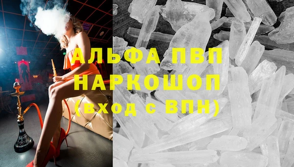 спиды Магас